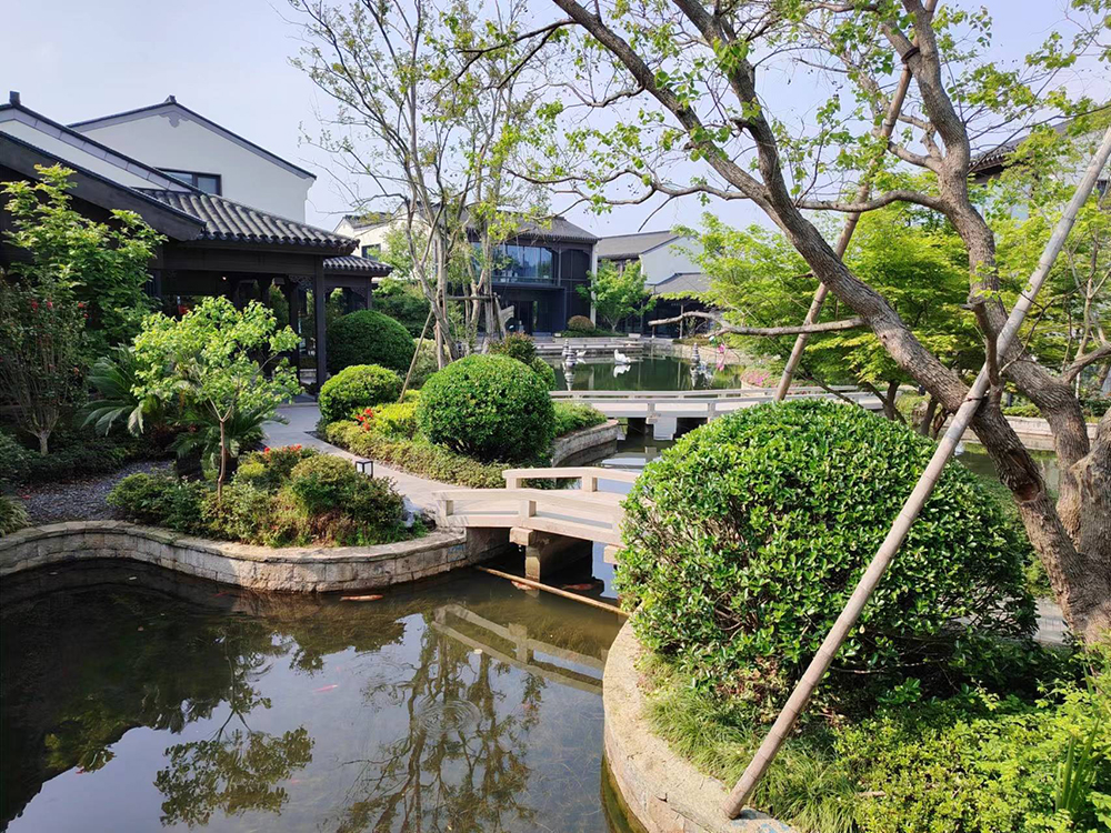 陽羨湖風景.jpg